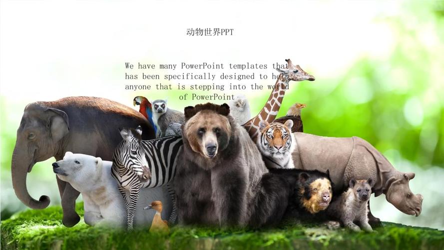 1、世界野生动物王国