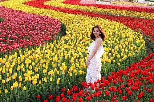 4、世界最大的人工花海——楚天世界花海