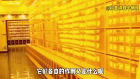 吴阿萍为什么供牌位（吴啊萍在玄奘寺供奉牌位）(8)