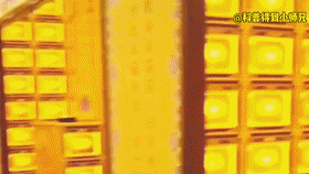 吴阿萍为什么供牌位（吴啊萍在玄奘寺供奉牌位）(6)