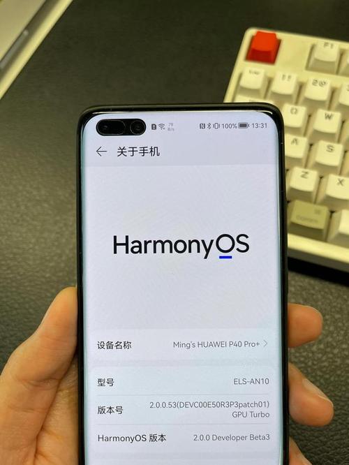 华为p40pro怎么升级鸿蒙系统（华为P40pro如何升级鸿蒙系统）