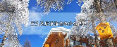​三九天吃什么补身体 九天吃什么好