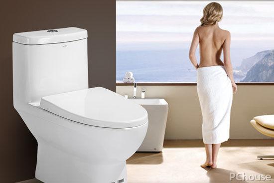 坐便器十大名牌排名榜(最新十大座便器品牌排行)(2)