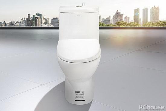 坐便器十大名牌排名榜(最新十大座便器品牌排行)(4)