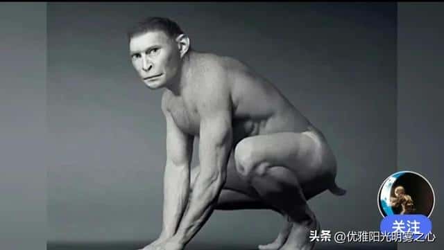 人类的起源距今有多少年(人类出现距今多少年)