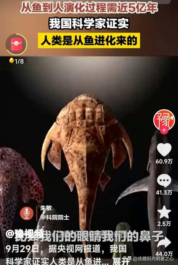 人类的起源距今有多少年(人类出现距今多少年)