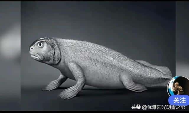 人类的起源距今有多少年(人类出现距今多少年)