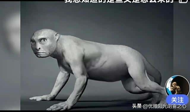 人类的起源距今有多少年(人类出现距今多少年)