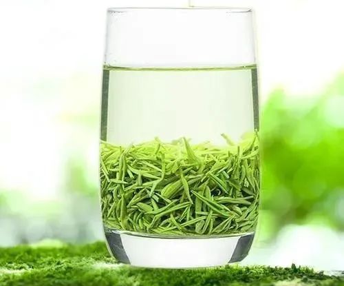 信阳毛尖和恩施绿茶哪个好喝