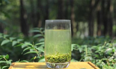 ​信阳毛尖是绿茶吗，信阳毛尖是红茶还是绿茶？