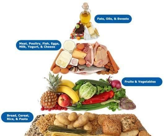 碳水化合物是什么，碳水化合物都包括什么？图5