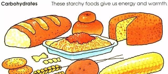 碳水化合物是什么，碳水化合物都包括什么？图2