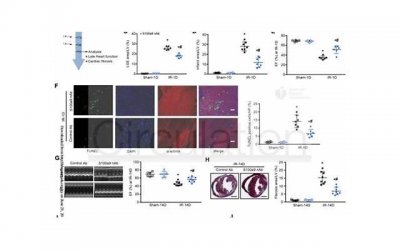​断联出现一系列小动作，这样做让你牢牢把握男人！