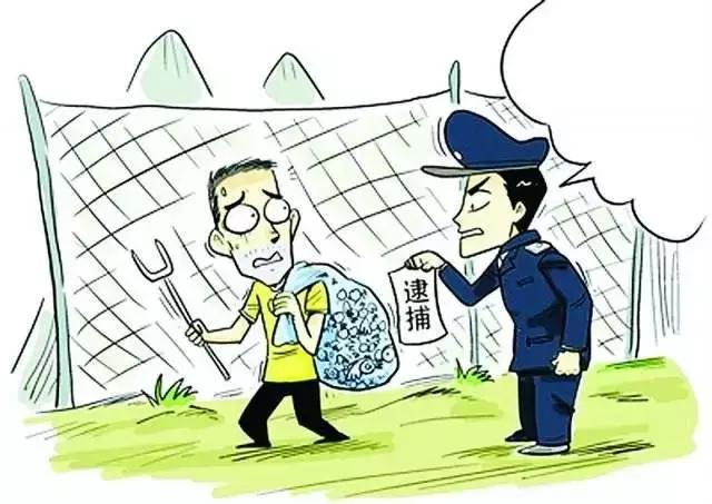 法律基础知识汇总（你想知道的法律专业术语解析都在这里）(6)