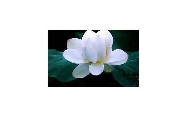 女生的潜台词你知道几个