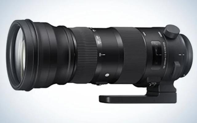 尼康全画幅轻便镜头推荐（年尼康最佳长焦镜头）(4)