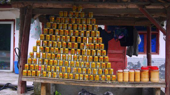 川藏线上，红牛和营养快线哪个最受欢迎？