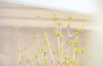 ​女人梦见被人追着到处躲梦见被人追着跑着躲在恐惧中