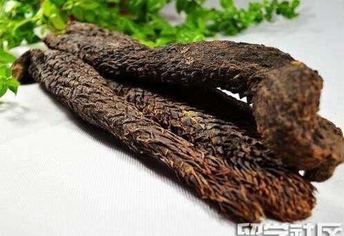 肉松茸的使用方法