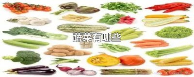 ​膳食纤维蔬菜有哪些食物 不产气的蔬菜有哪些食物