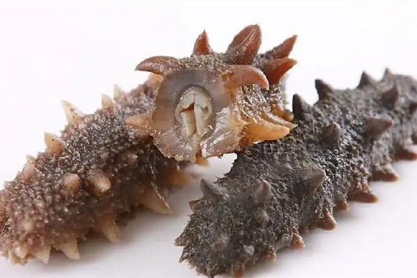 国足吃海参是什么梗 国足吃海参的由来