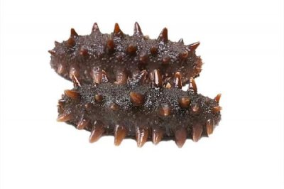 ​国足吃海参是什么梗 国足吃海参的由来