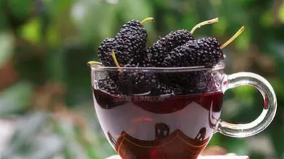 ​桑葚熬制后还有营养,桑葚加热后营养成分会被破坏吗