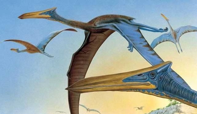 海洋中最多的生物是，海洋中含量最高的金属元素？图8