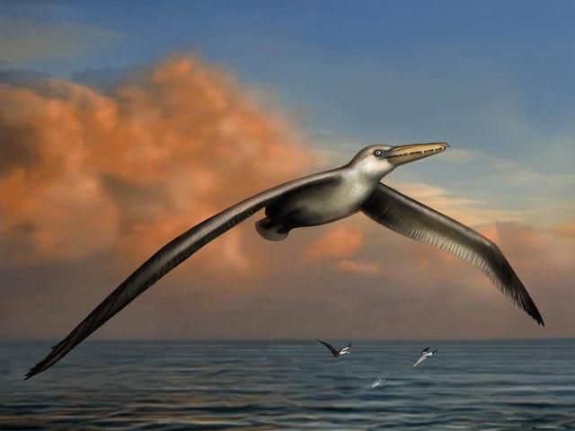 海洋中最多的生物是，海洋中含量最高的金属元素？图7