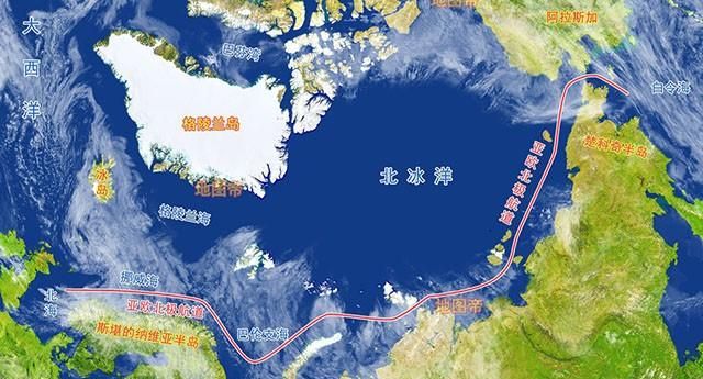 海洋中最多的生物是，海洋中含量最高的金属元素？图13