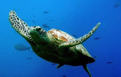 海洋中含量最高的金属元素