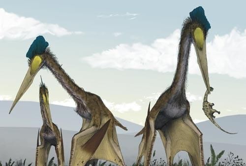 海洋中最多的生物是，海洋中含量最高的金属元素？图10