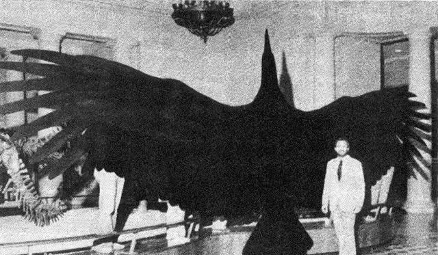 海洋中最多的生物是，海洋中含量最高的金属元素？图6