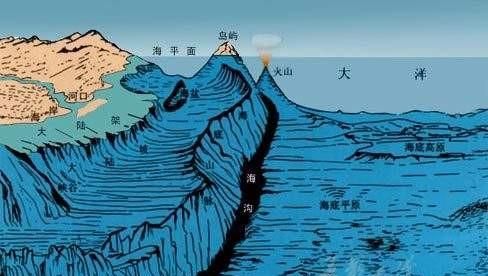 海洋中最多的生物是，海洋中含量最高的金属元素？图15
