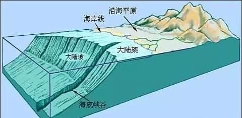 海洋中最多的生物是，海洋中含量最高的金属元素？图12