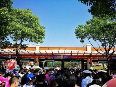 ​上海迪士尼免排队vip票价格(上海迪士尼免排队vip票怎么买)