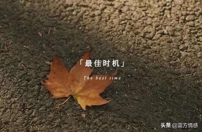 男人出轨脑疯期一般是多久?（出轨男人沉迷婚外情）