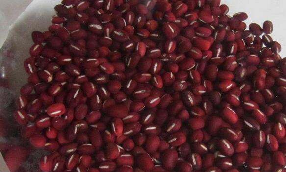 红豆要泡多久才能煮,红豆要泡多久才能煮图3