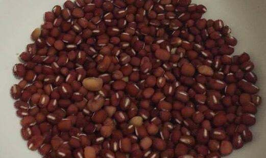 红豆要泡多久才能煮,红豆要泡多久才能煮图5