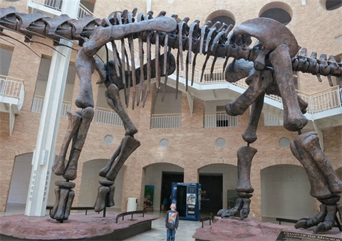 世界上最大的恐龙:阿根廷龙,体长40米体重100吨!