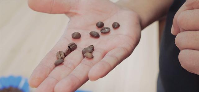 咖啡的三种烘焙方式（咖啡烘焙避坑指南）(21)