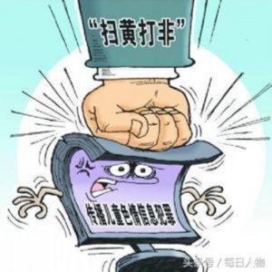 ​我爱秘籍论坛，儿童色情论坛被举报后称不久归来