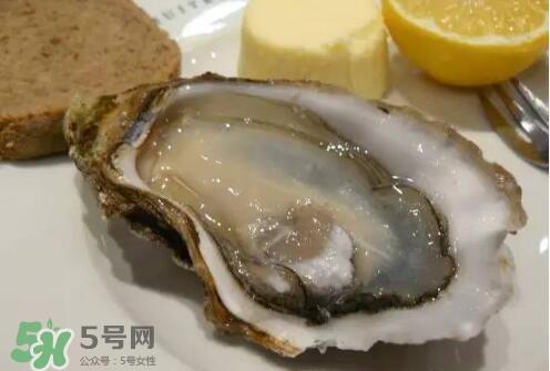 丹麦生蚝能吃吗？生蚝的吃法大全集