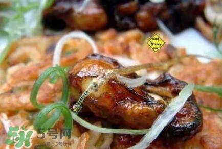 丹麦生蚝能吃吗？生蚝的吃法大全集