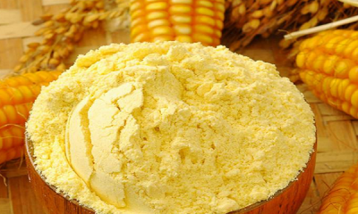 ​减脂期可以吃玉米面当主食,吃玉米面可以减肥么