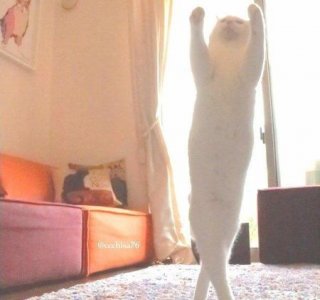 ​女人如何有气质有涵养(女人的内涵和气质是如何培养的)