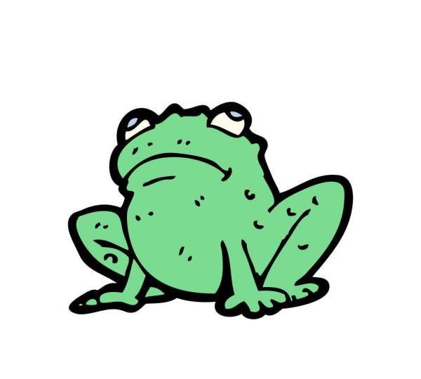 蟾蜍有什么药效,农村的水塘里有癞蛤蟆吗图2