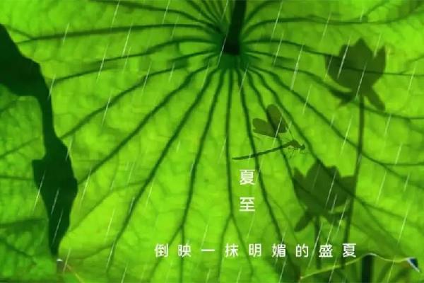 夏至是白天最长的一天吗 夏至会出现什么现象