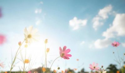 ​虾皮可以和香菇一起吃吗？虾仁可以和香菇一起吃吗？