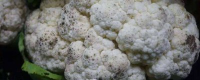 ​菜花起黑点还能吃吗 花菜起了黑点可以吃吗